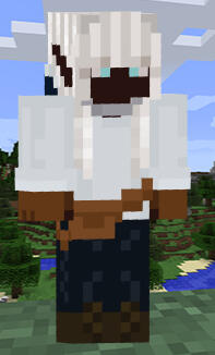 mc skin !!